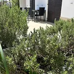 Materada Donato * Porec
