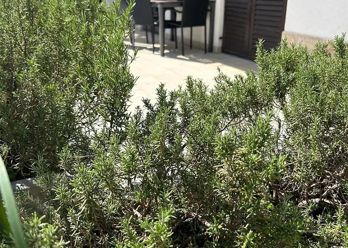 Materada Donato * Poreč